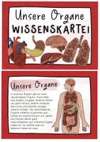 Vorschau - Stationenlernen - Organe Wissenskartei - Texte & Informationen zu den Organen - Seite 1