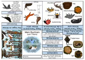 Vorschau - Mal- und Bastelvorlagen - Faltheft - Tiere im Winter/ Fußspuren - Seite 1