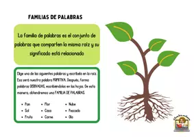 Vista previa - Refuerzo / NEE / Materiales de apoyo - Familias de palabras y palabras derivadas - página 3