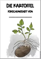 Vorschau - Unterrichtsreihen - Die Kartoffel - Arbeitsblätter + Lösungen - Seite 1