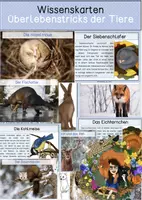 Vorschau - Stationenlernen - Tiere im Winter / Überlebenstricks - Wissenskarten - Deckblatt