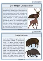 Vorschau - Stationenlernen - Tiere im Winter / Überlebenstricks - Wissenskarten - Seite 2