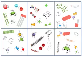 Vorschau - Spiele - Wichtige Moleküle in der Biochemie - Kartenspiel (Abitur) - Seite 3