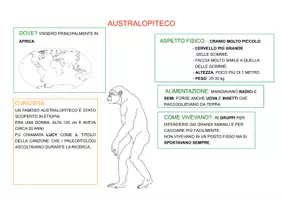 anteprima - Materiale di supporto/inclusione - MAPPE SEMPLIFICATE SULL' EVOLUZIONE DELL' UOMO - Pagina di copertina