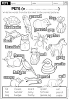 Vorschau - Arbeitsblätter - PETS - Vocabulary Worksheet - Seite 2