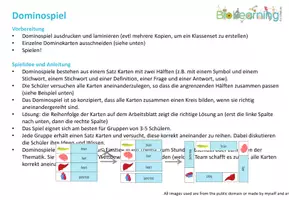 Vorschau - Spiele - Aktionspotential - Domino Spiel (Abitur) - Seite 2