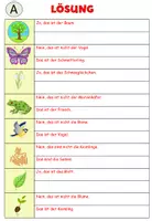 Vorschau - Arbeitsblätter - AnybookPro Material: Ist das der Baum? - Seite 3