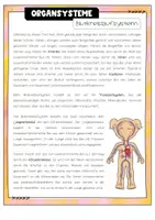 Vorschau - Unterrichtsreihen - Infotexte - Organsysteme des Menschen - Seite 3