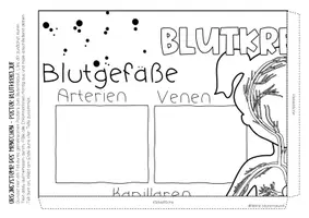 Vorschau - Unterrichtsreihen - Kollaboratives Poster - Organsysteme des Menschen - Seite 3