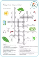 Vorschau - Arbeitsblätter - Fotosynthese: Lichtabhängige Reaktion und Calvin-Zyklus - Kreuzworträtsel (Abitur) - Seite 1