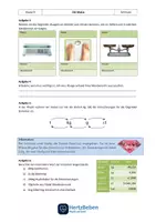 Vorschau - Unterrichtsreihen - Physik Unterrichtsreihe Dichte Mechanik - Seite 2