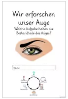 Vorschau - Arbeitsblätter - Schutz des Auges Forscherheft Versuch Experiment - Seite 2