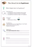 Vorschau - Arbeitsblätter - Schutz des Auges Forscherheft Versuch Experiment - Seite 3