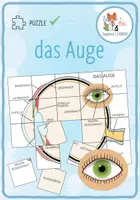 Vorschau - Spiele - das Auge – Puzzle - Deckblatt