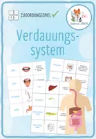 Vorschau - Spiele - Verdauungssystem – Zuordnungsaktivität / Paare Finden Spiel - Deckblatt