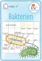Vorschau - Arbeitsblätter - Bakterien – Puzzle - Deckblatt