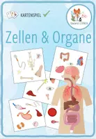 Vorschau - Spiele - Zellen und Organe - "Wer sieht's zuerst?" Kartenspiel - Deckblatt