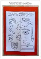 Vorschau - Arbeitsblätter - Lapbook - Mein Körper, Organe & Skelett - Seite 3
