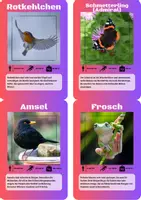 Vorschau - Spiele - 24 Lernkarten mit Fakten über die Tiere Mitteleuropas - Seite 3