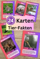Vorschau - Spiele - 24 Lernkarten mit Fakten über die Tiere Mitteleuropas - Deckblatt