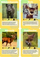 Vorschau - Spiele - 10 Lernkarten-Pakete über Tiere - über 150 Flashcards - Seite 1