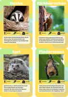 Vorschau - Spiele - 10 Lernkarten-Pakete über Tiere - über 150 Flashcards - Seite 2