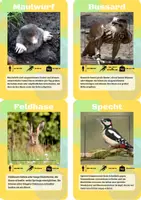 Vorschau - Spiele - 10 Lernkarten-Pakete über Tiere - über 150 Flashcards - Seite 3