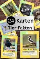 Vorschau - Spiele - 24 Lernkarten mit Fakten über die Tiere Deutschlands - Deckblatt