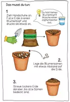 Vorschau - Experimente - Anleitung "Blumensamen anpflanzen" - Seite 2