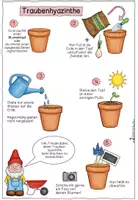 Vorschau - Mal- und Bastelvorlagen - Frühblüher pflanzen - Seite 2