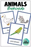 Vista previa - Juegos / Gamificación - Animals FLASH CARDS - Portada