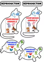 Vista previa - Hojas de trabajo - FUNCIONES VITALES EN ANIMALES/VITAL FUNCTIONS IN ANIMALS. - página 3