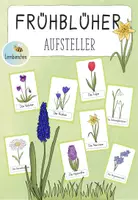 Vorschau - Bildkarten - Frühblüher Aufsteller (Kl. 1/2) - Deckblatt