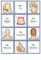 Vorschau - Spiele - Körper & Organe - Merk es dir - Legespiel in zwei Versionen - Seite 3