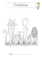 Vorschau - Arbeitsblätter - Frühblüher Arbeitsblätter (Kl. 1/2) - Seite 3