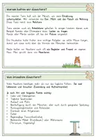 Vorschau - Arbeitsblätter - Haustiere Wissenskartei und Lapbook - Seite 3