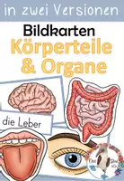 Vorschau - Präsentationen/Tafelbilder - Bildkarten - Mein Körper & Organe & Körperteile - Deckblatt