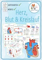 Vorschau - Spiele - Herz, Blut und Kreislauf – Karteikarten und Lernwürfel - Deckblatt