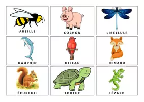 Aperçu - Jeux - La course des animaux syllabation - Page 1