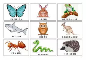 Aperçu - Jeux - La course des animaux syllabation - Page 2