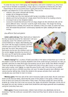 Vista previa - Juegos / Gamificación - Sight Word Steps - página 2