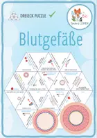 Vorschau - Spiele - Blutgefäße: Arterien, Venen, Kapillaren – Dreieck Domino Spiel - Deckblatt