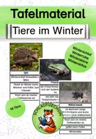 Vorschau - Bildkarten - Tafelmaterial Tiere im Winter - Deckblatt