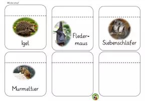 Vorschau - Mal- und Bastelvorlagen - Lapbook Tiere im Winter - Seite 2