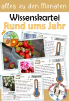 Vorschau - Stationenlernen - Rund ums Jahr - Wissenskartei zu den Monaten und den Jahreszeiten - Deckblatt