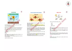 anteprima - Esercizi - PACCHETTO CLIL: From seed to plant - Pagina 3