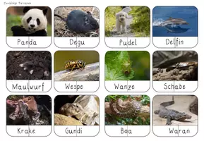 Vorschau - Spiele - Lautgetreues Lesen - mit Tiernamen - Seite 3
