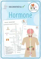 Vorschau - Arbeitsblätter - Hormone – 5x Aktivitäten und Spiele - Seite 1