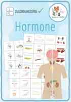 Vorschau - Spiele - Hormone - Zuoordnungsaktivität - Deckblatt
