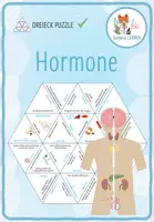 Vorschau - Spiele - Hormone – Dreieck Domino Spiel - Deckblatt